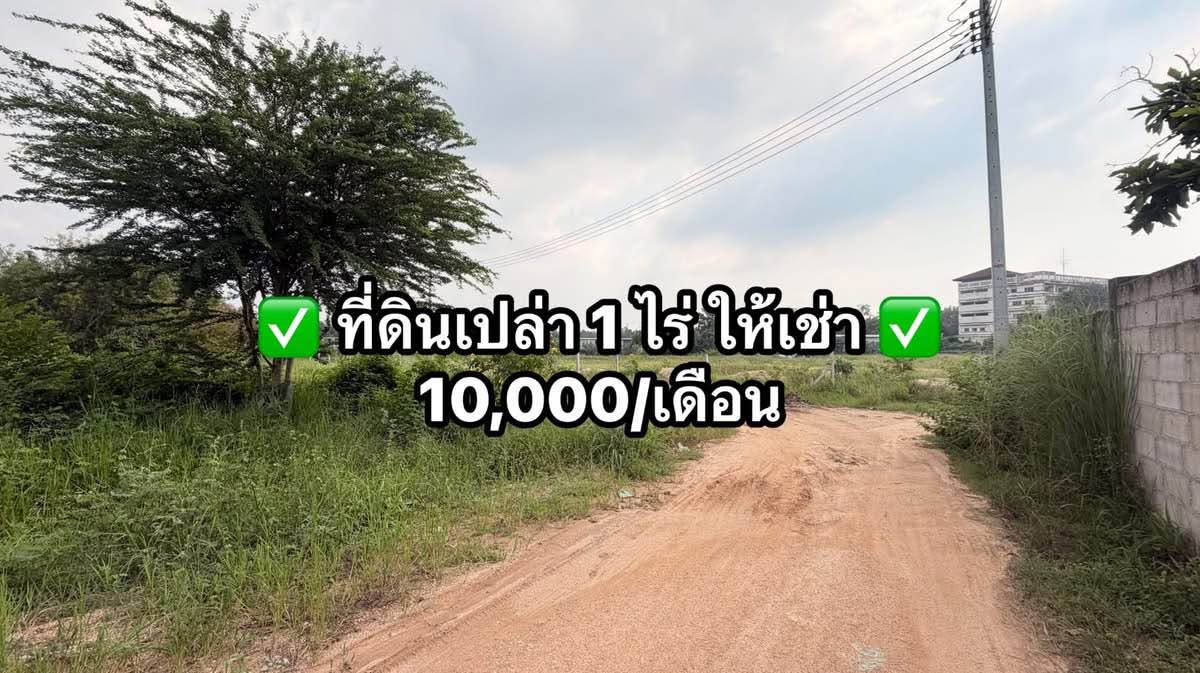 Другое · Nong Prue