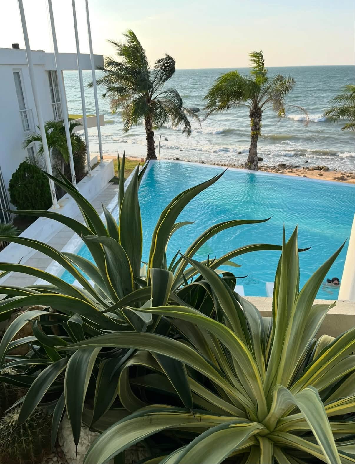 コンドミニアム · スタジオ · 38 m² · Na Jomtien