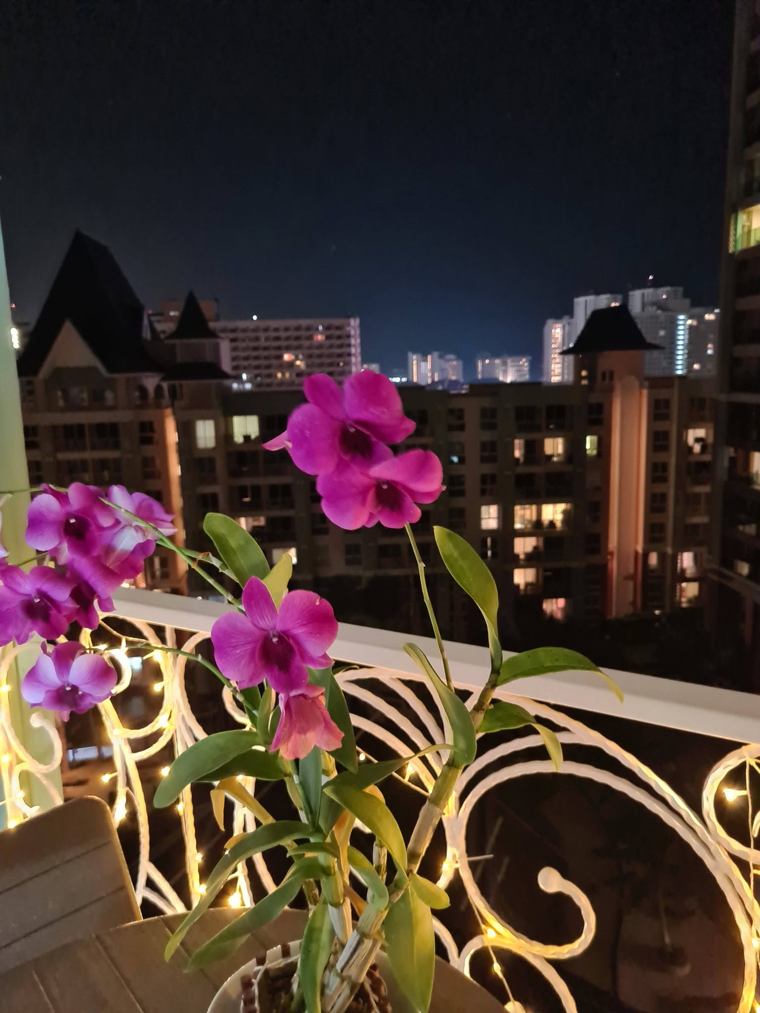 Condo · 1 bed · 37 m² · Jomtien
